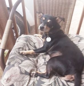 Meet your Posher, Mike